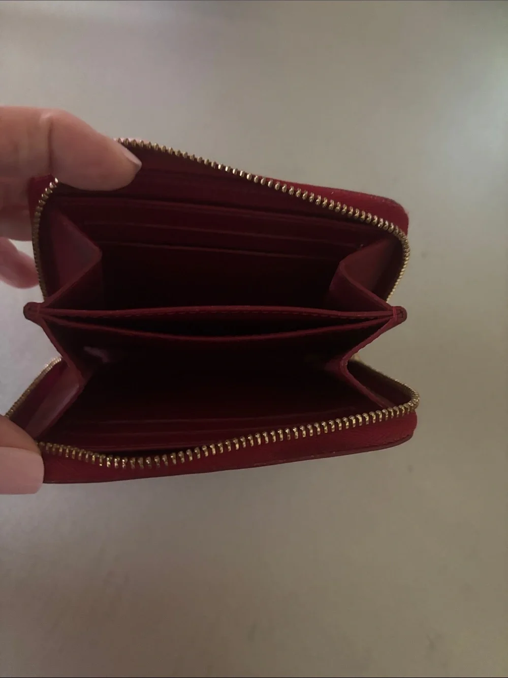 Louis Vuitton authentic louis